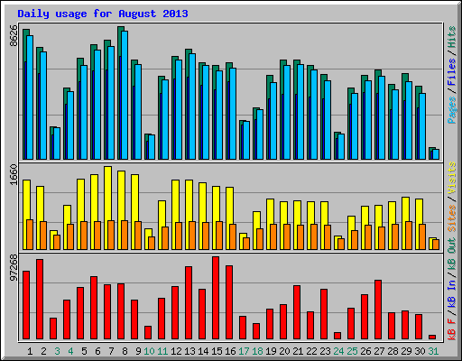 Daily usage for August 2013